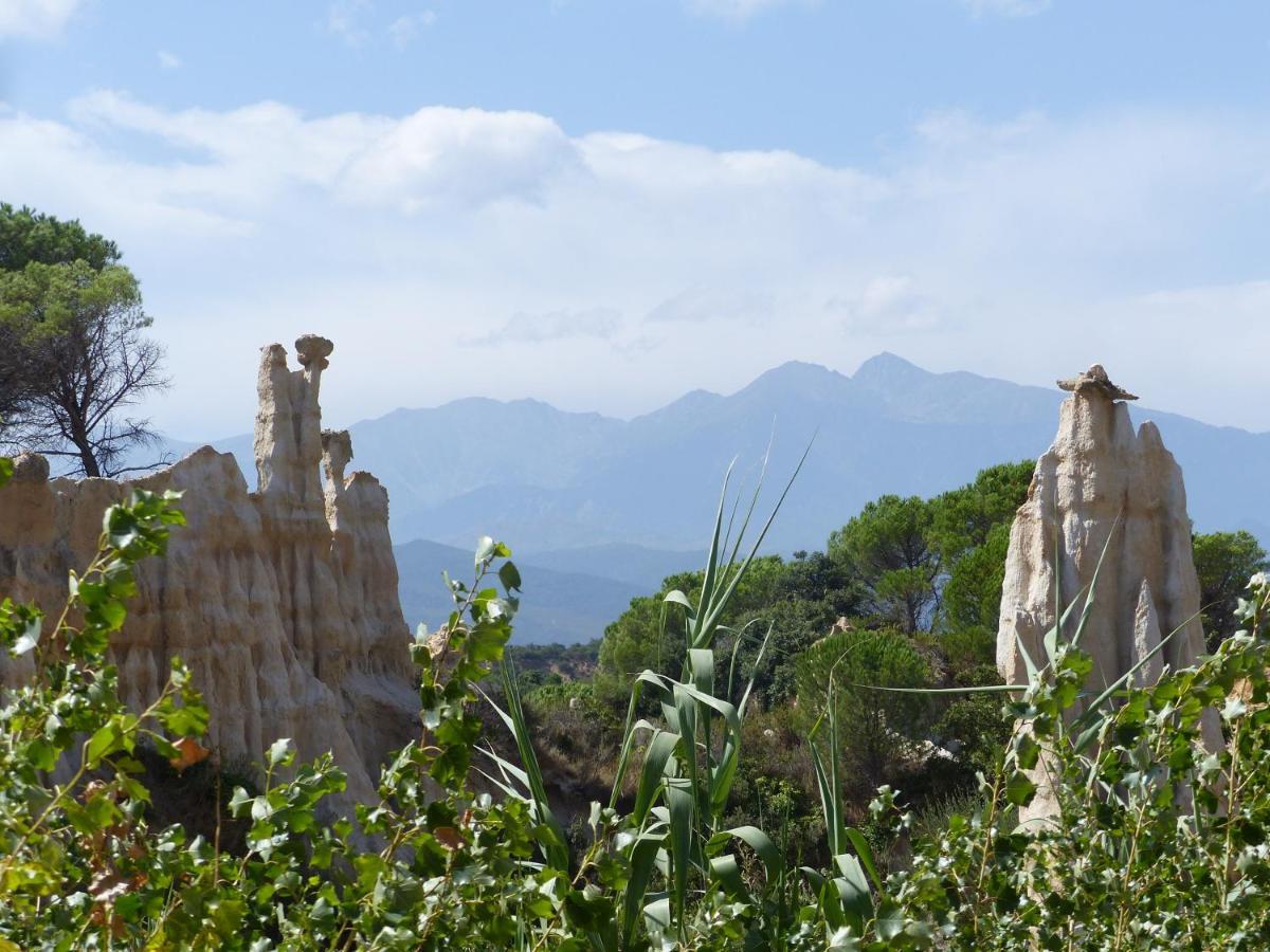 Bed and Breakfast Mas Uranie Le Soler Экстерьер фото